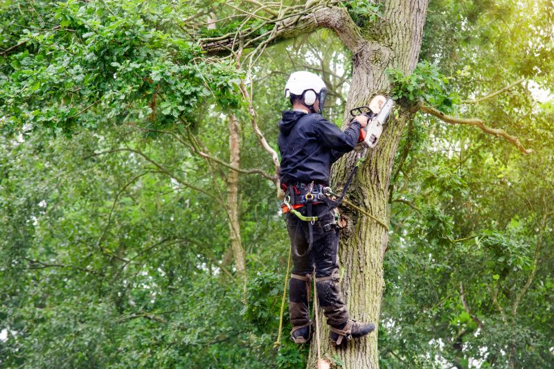 Arborist with Pruning Tools